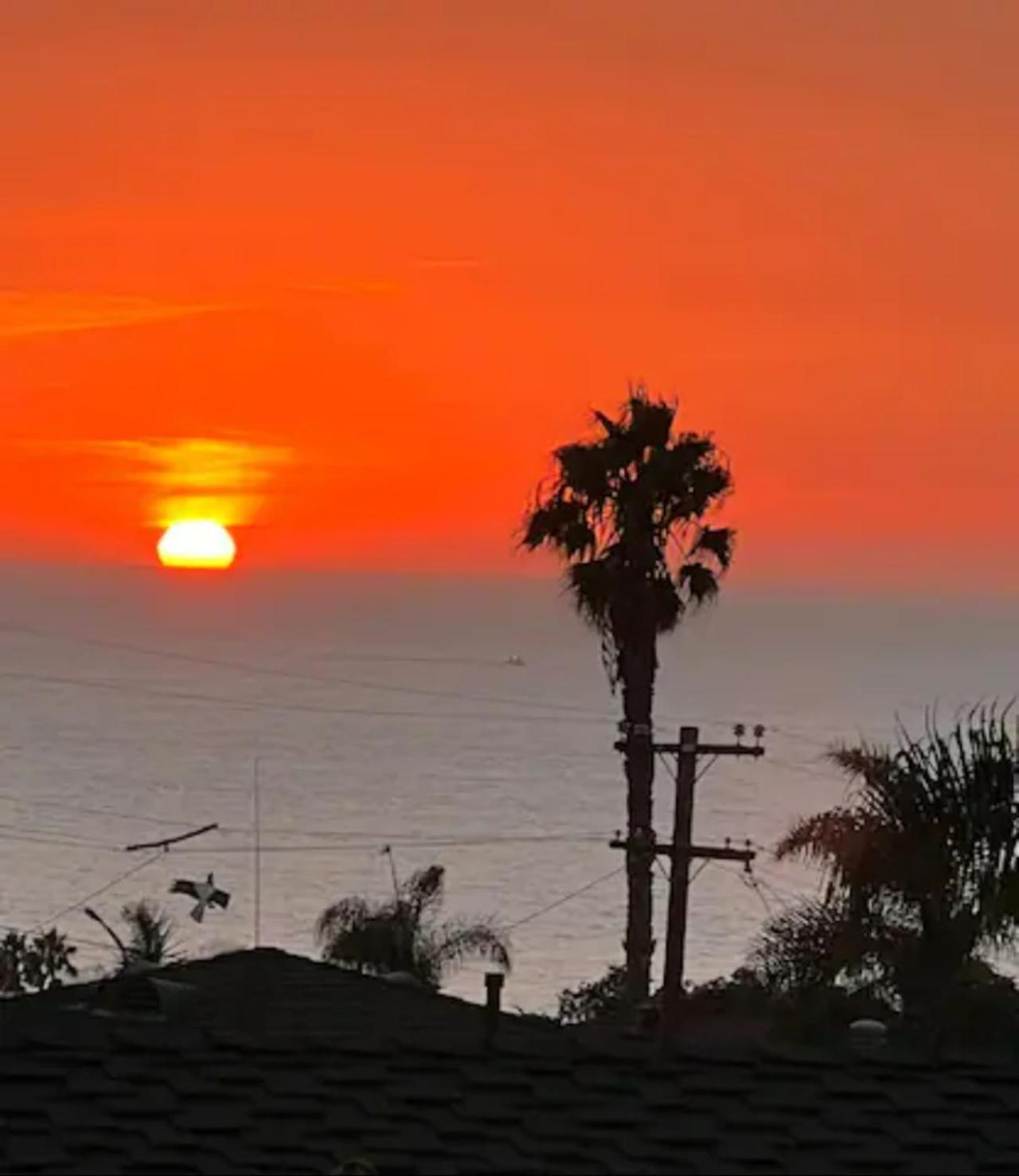 Contemporary Ocean Sunset Views With Firepit Pt Loma Close To Plnu Apartamento San Diego